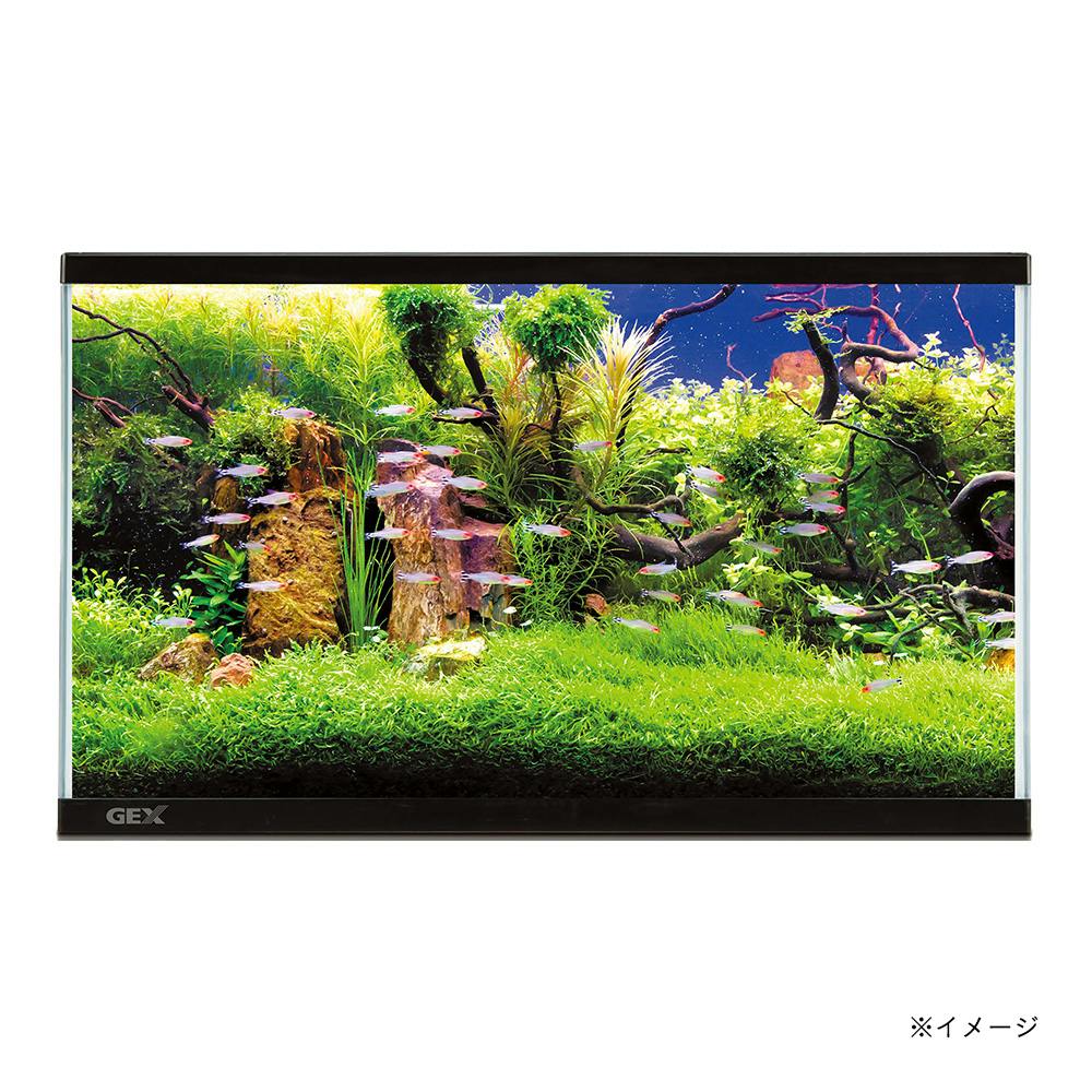 GEX マリーナ幅60cm水槽-N MR600BKST-N 約幅60×奥行30×高さ36cm 約57L