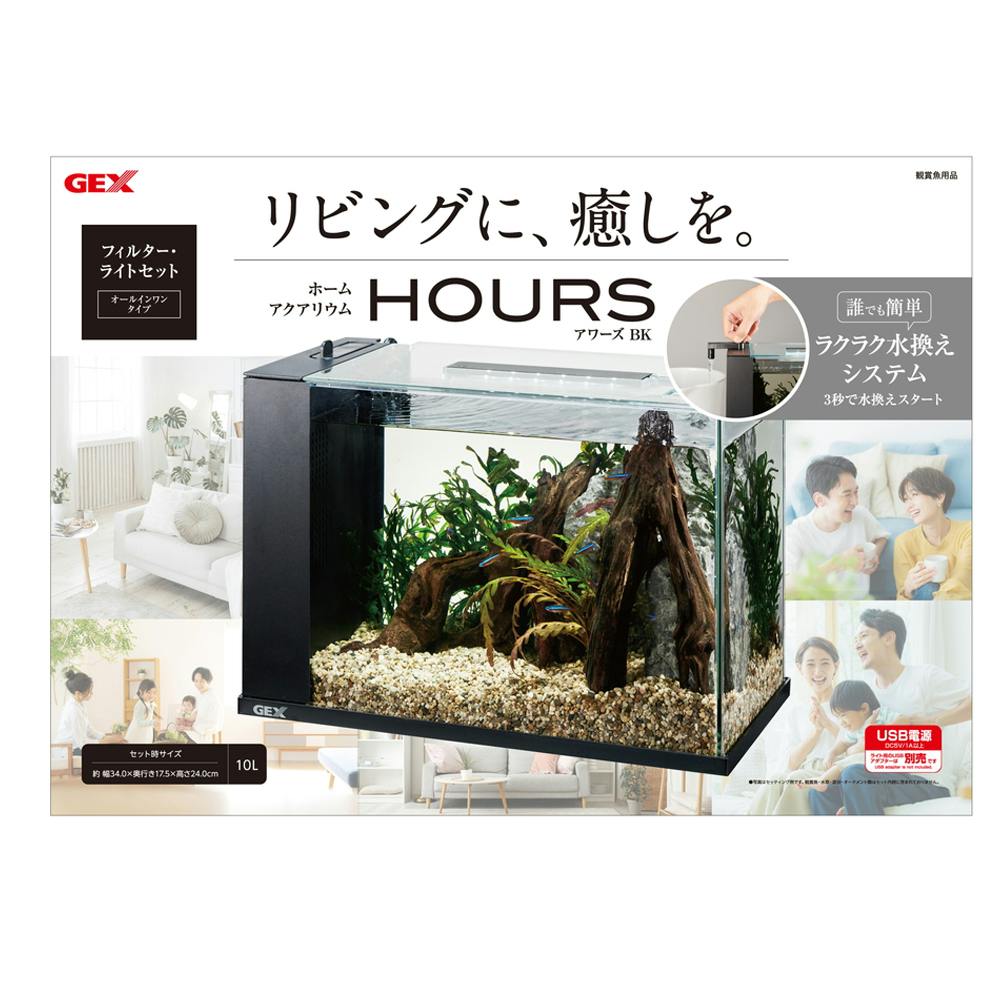 えいちのみずワカガエル 1ヶ月セット えいちのみずワカガエル 1ヶ月