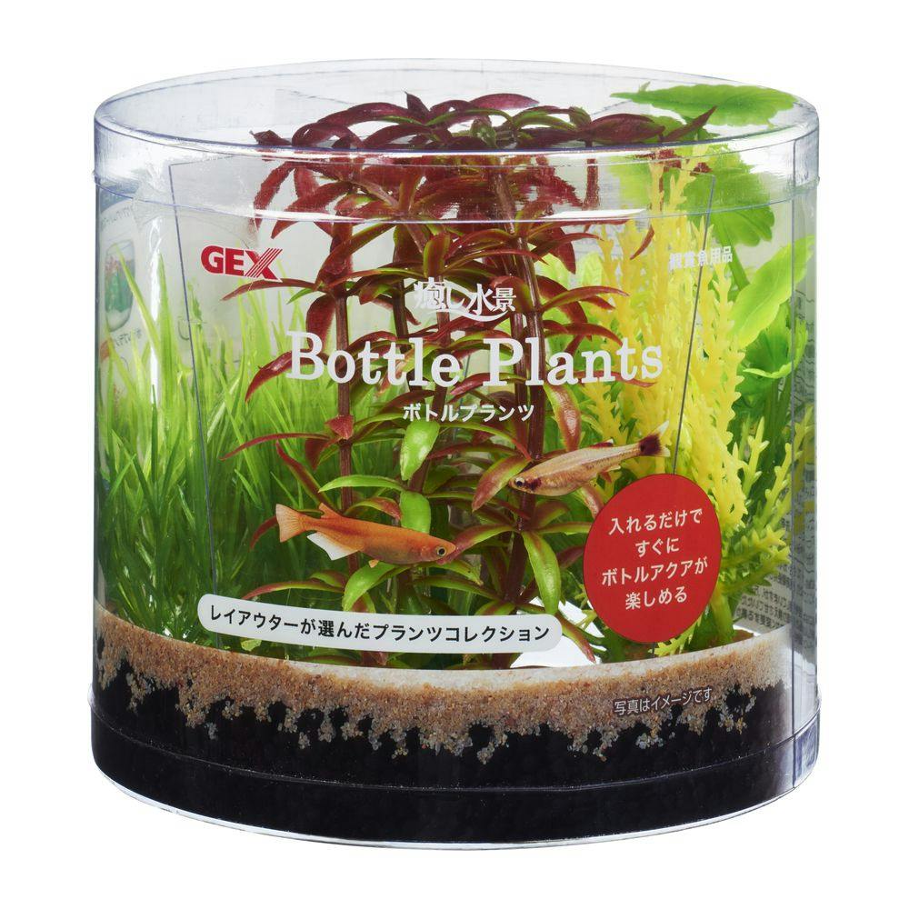 GEX 癒し水景 ボトルプランツ ロタラ | 水中生物用品・水槽用品 通販