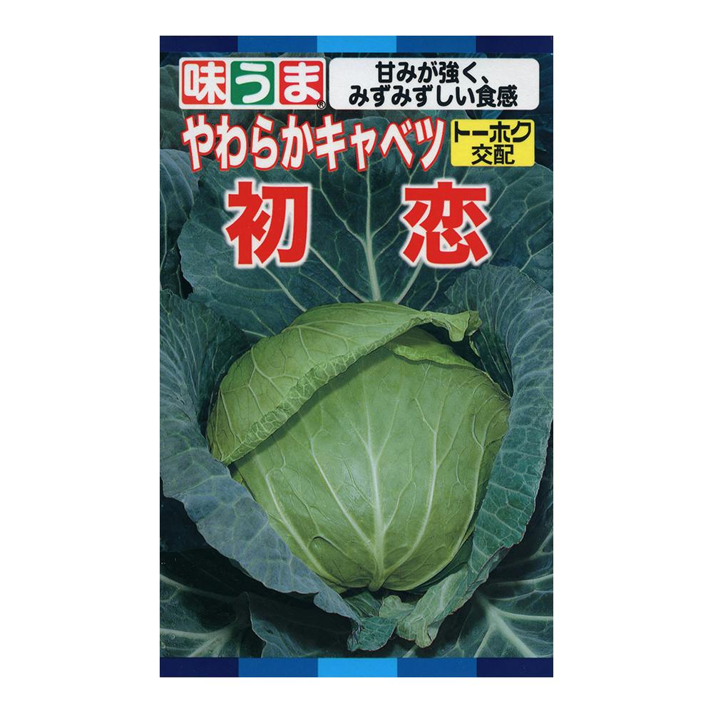 F1 富士早生キャベツ 味幅 | 花＆グリーン 通販 | ホームセンターの