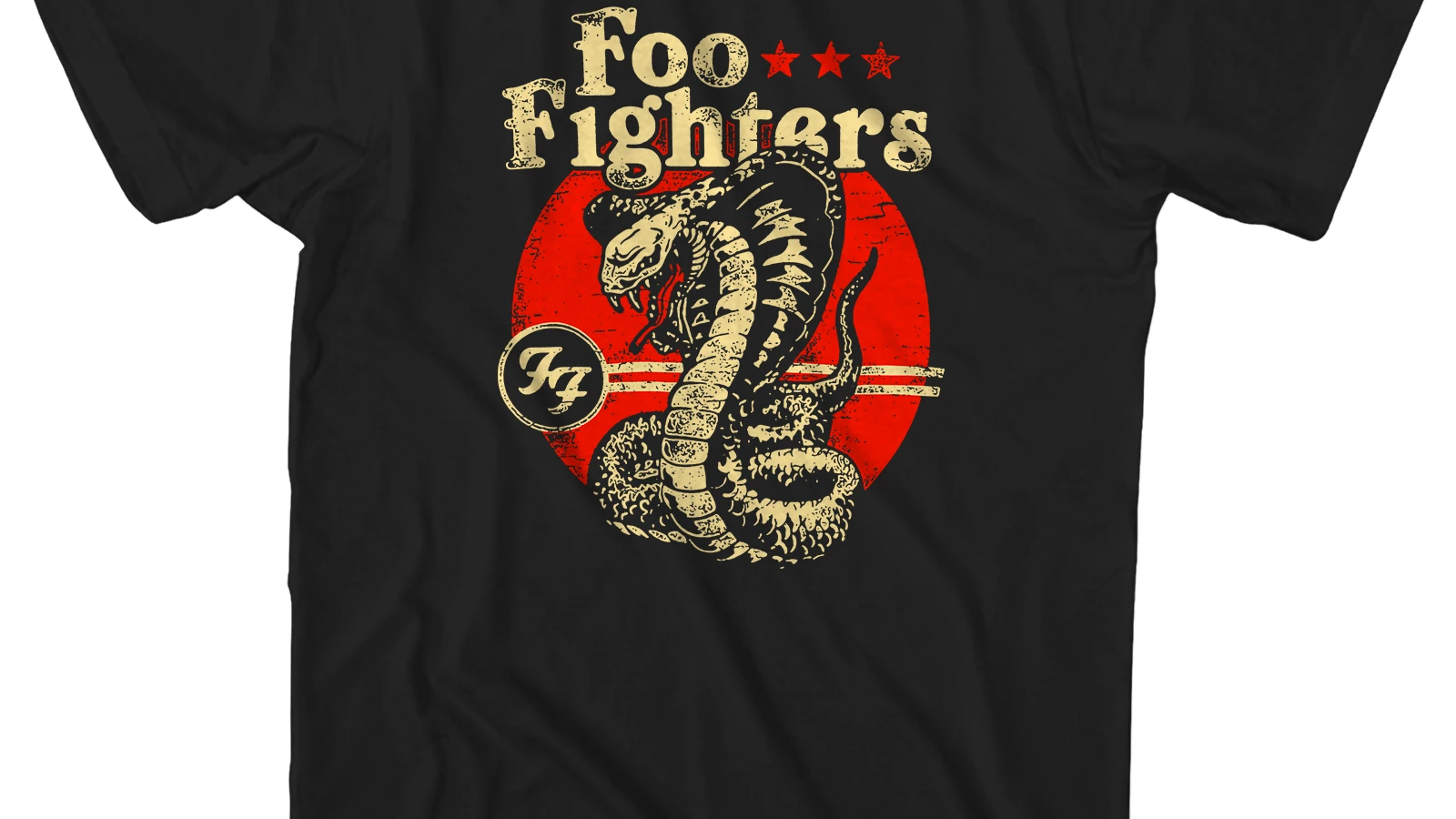 COBRA (新品)FOO FIGHTERS Tシャツ MATCHBOX