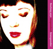 Fleeting Joys / Speeding Away to Someday - OTOTOY