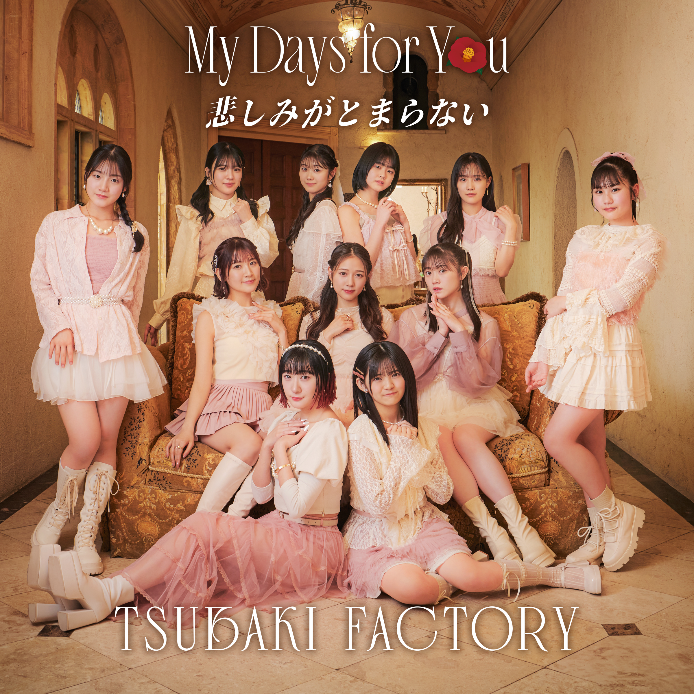 つばきファクトリー / My Days for You/悲しみがとまらない(Special