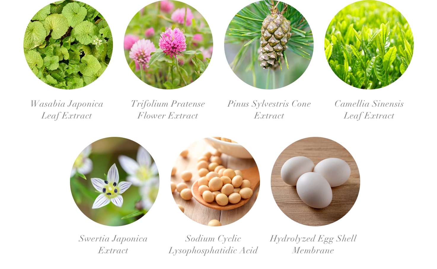 先制美容®という新たな世界。株式会社イナータスのニュース・トピックス