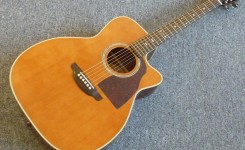 Shelly | Product Tag | アコースティックプラザ井上楽器