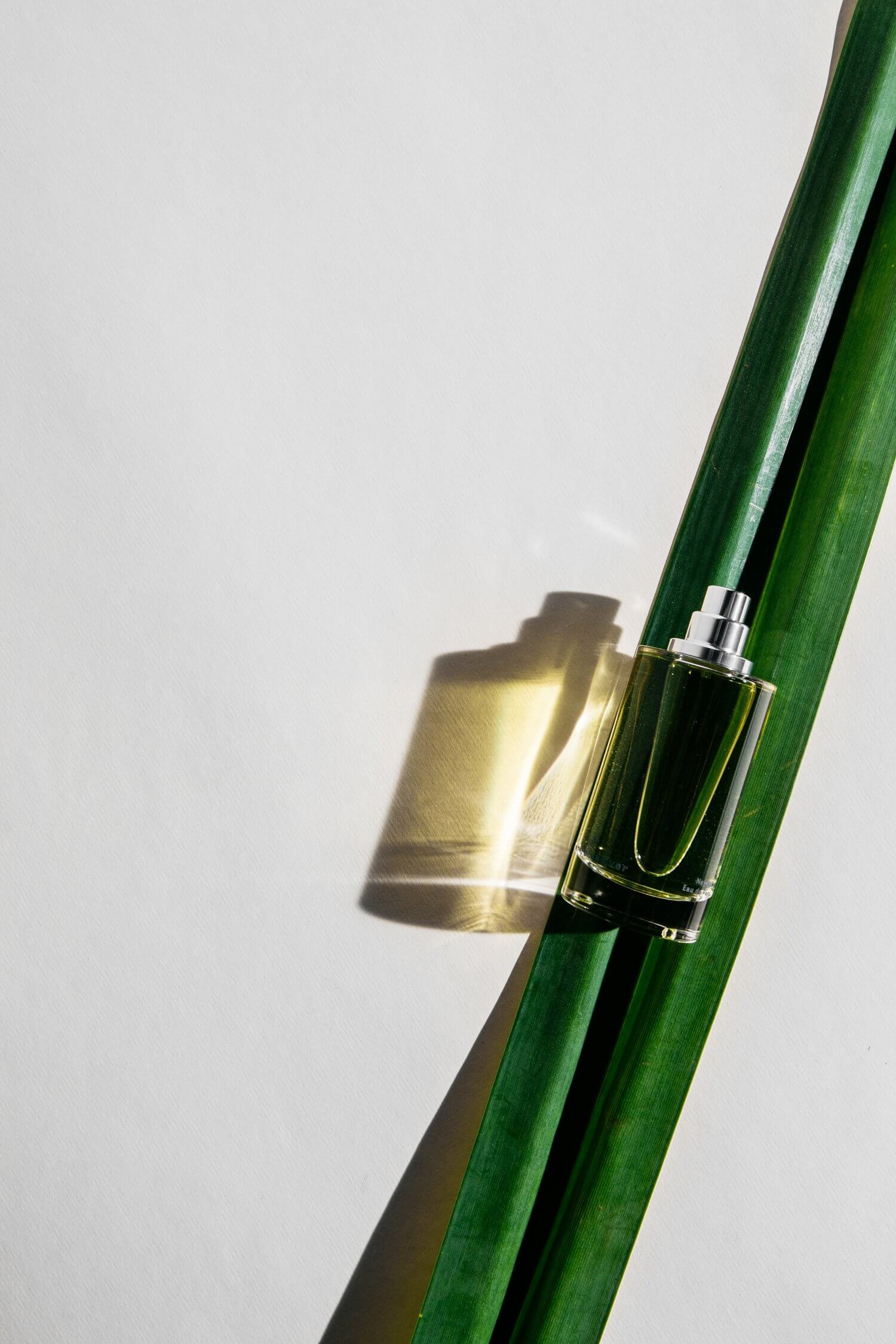 White Vetiver by Abel – Indigo Perfumery