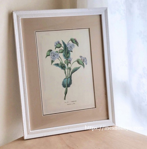 ボタニカルアートフレーム額B - フランスアンティーク （フレンチ