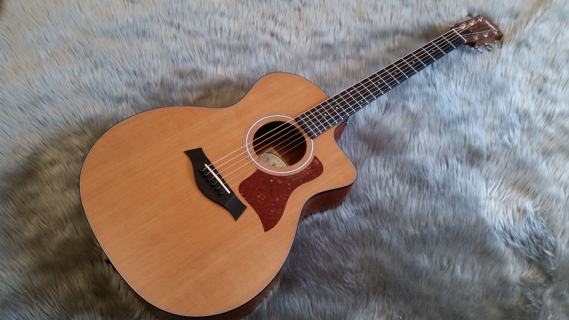 Taylor】エレアコ定番の100番台がお得に！114ce Japan Limited 2016が