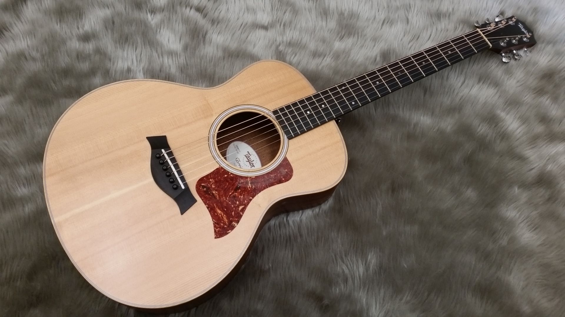 Taylor】小ぶりで弾きやすいGS Miniがお得にご購入できます！｜島村