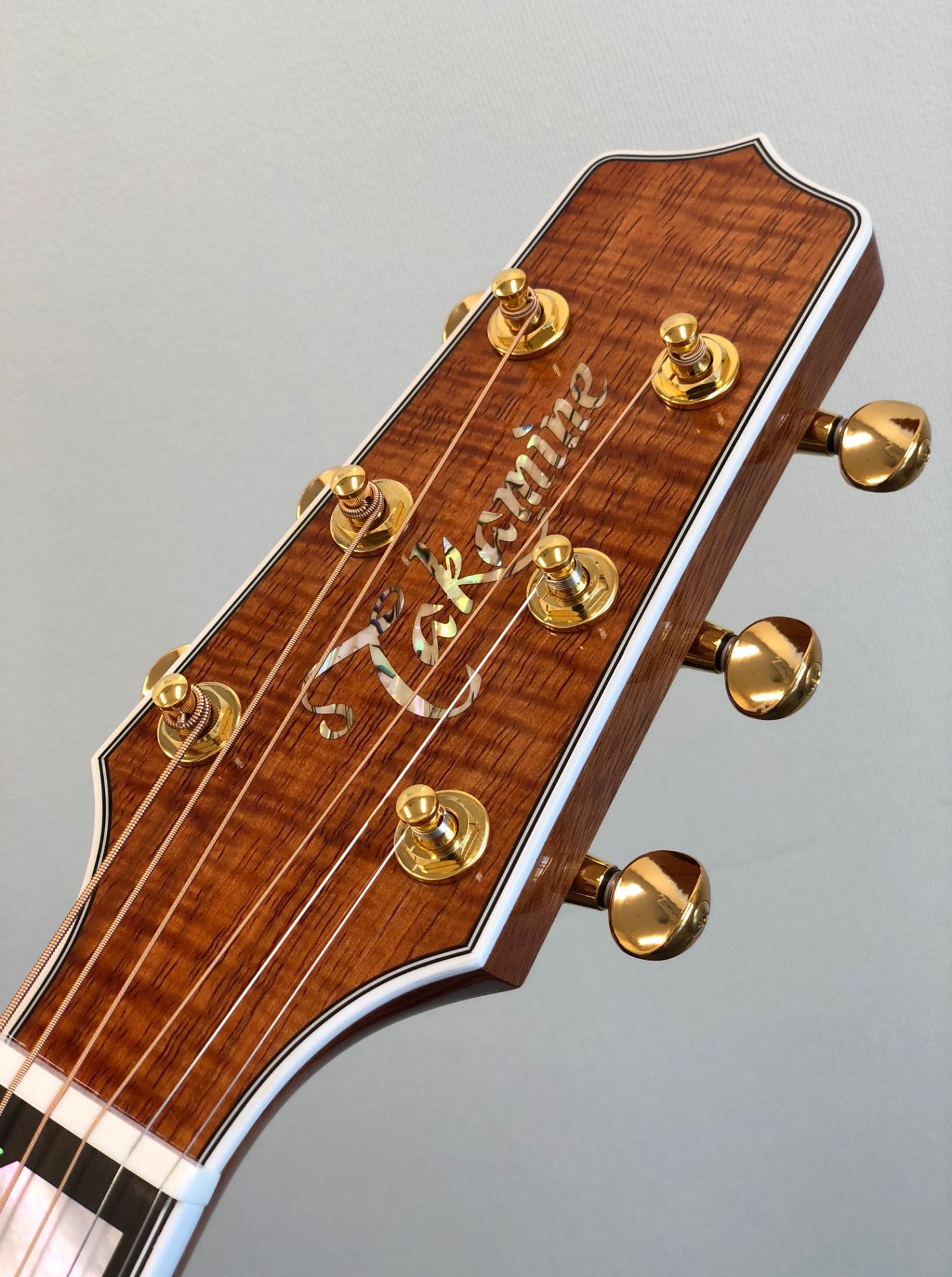 アコースティックギター】Takamine TSP178ASK N 入荷しました！｜島村