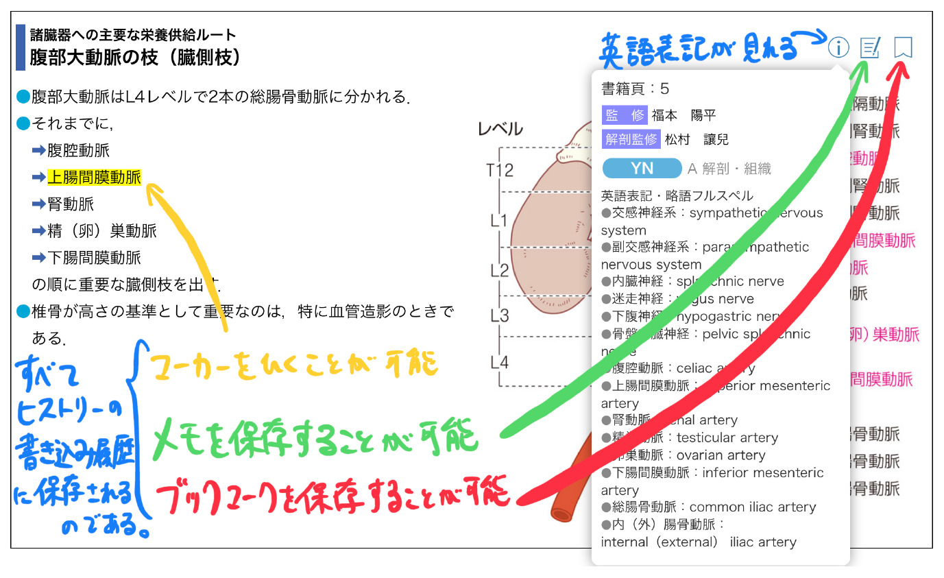 新刊（改訂版）］『病気がみえるvol.1 消化器』第7版，3月5日発売