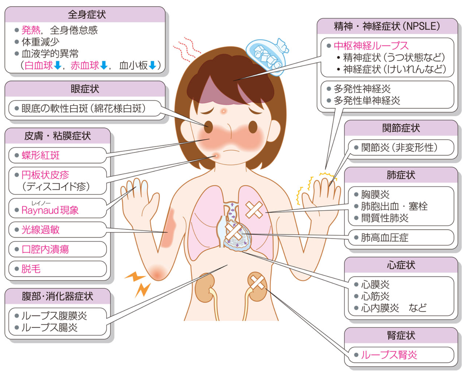 第118回医師国試【体験記】病みえで知識を定着させる方法！| INFORMA