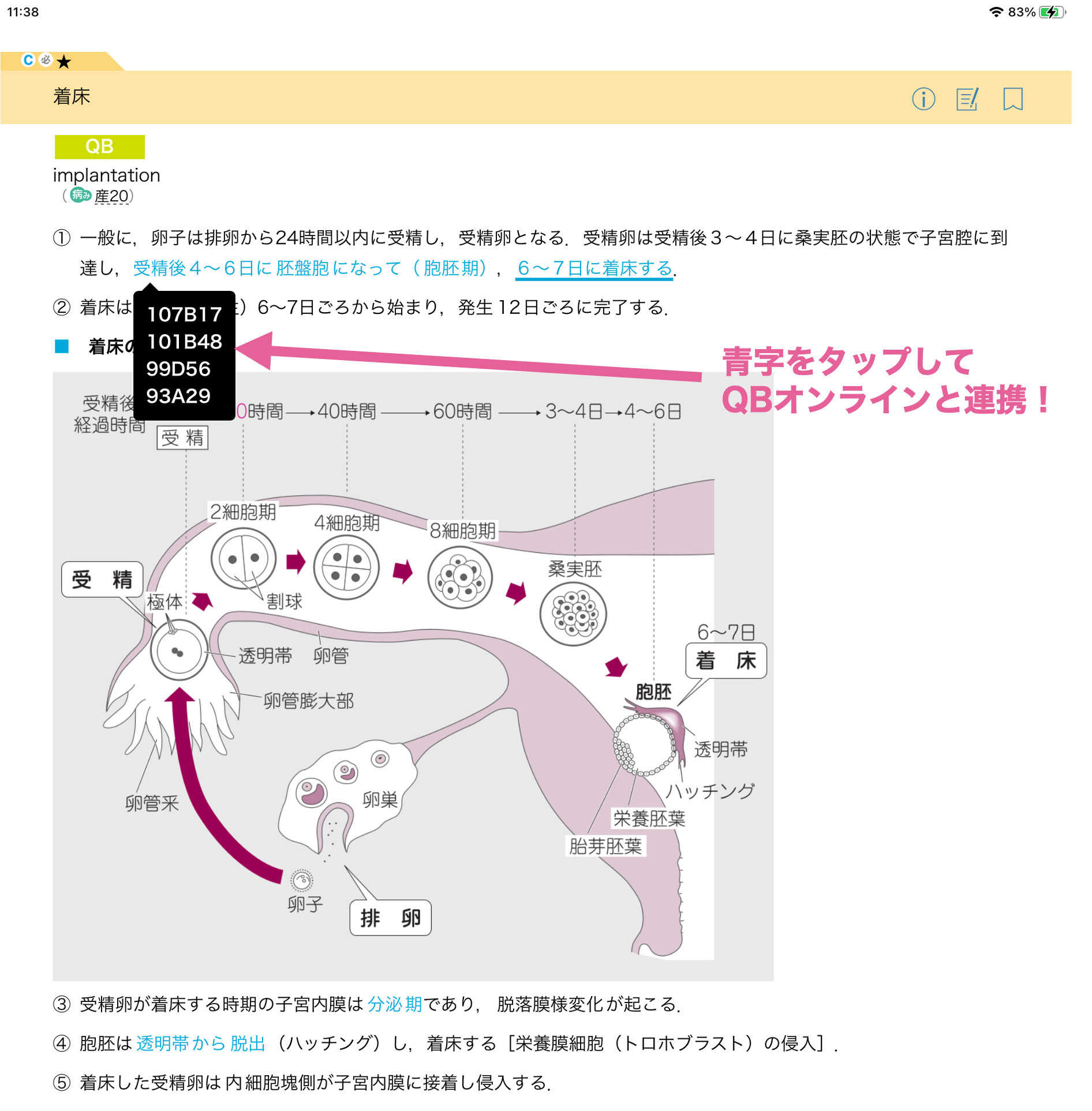 レビューブック産婦人科』実習，国試直前までこれ1冊！ | INFORMA by