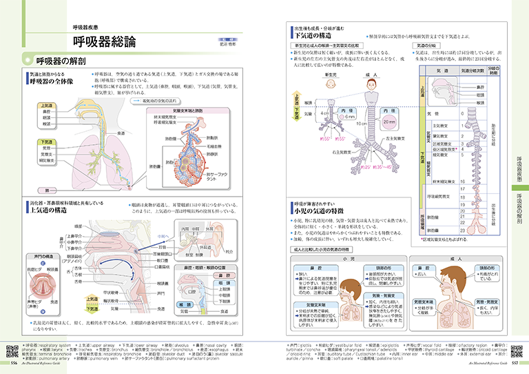 新刊］『病気がみえるvol.15小児科』見どころをご紹介！ | INFORMA by