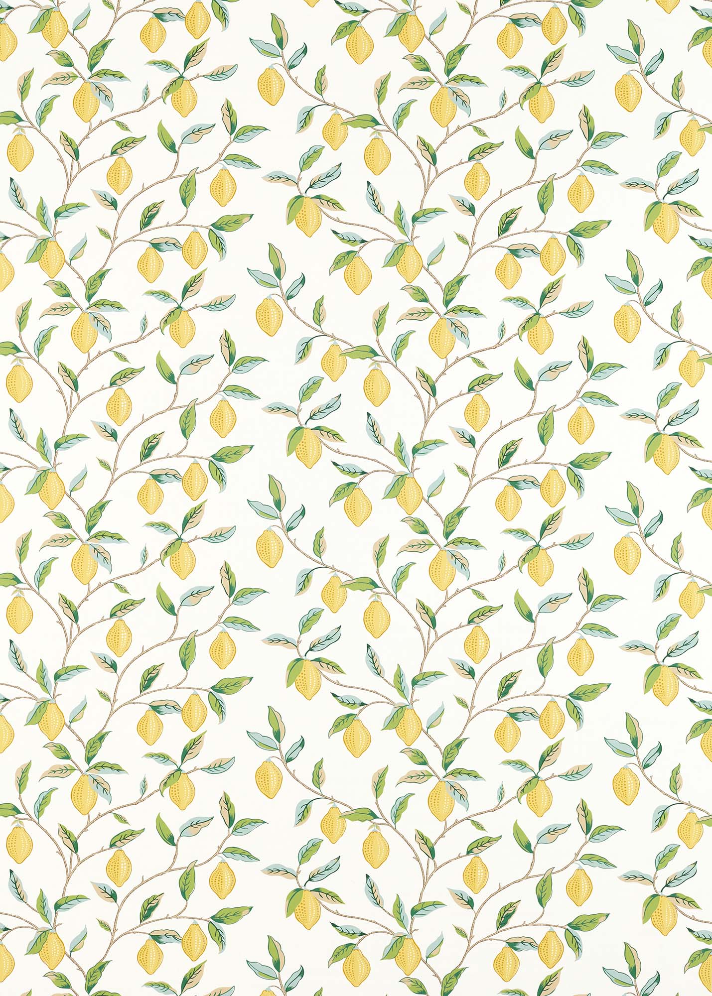 interior library - Lemon Tree 226909 MORRIS&Co.