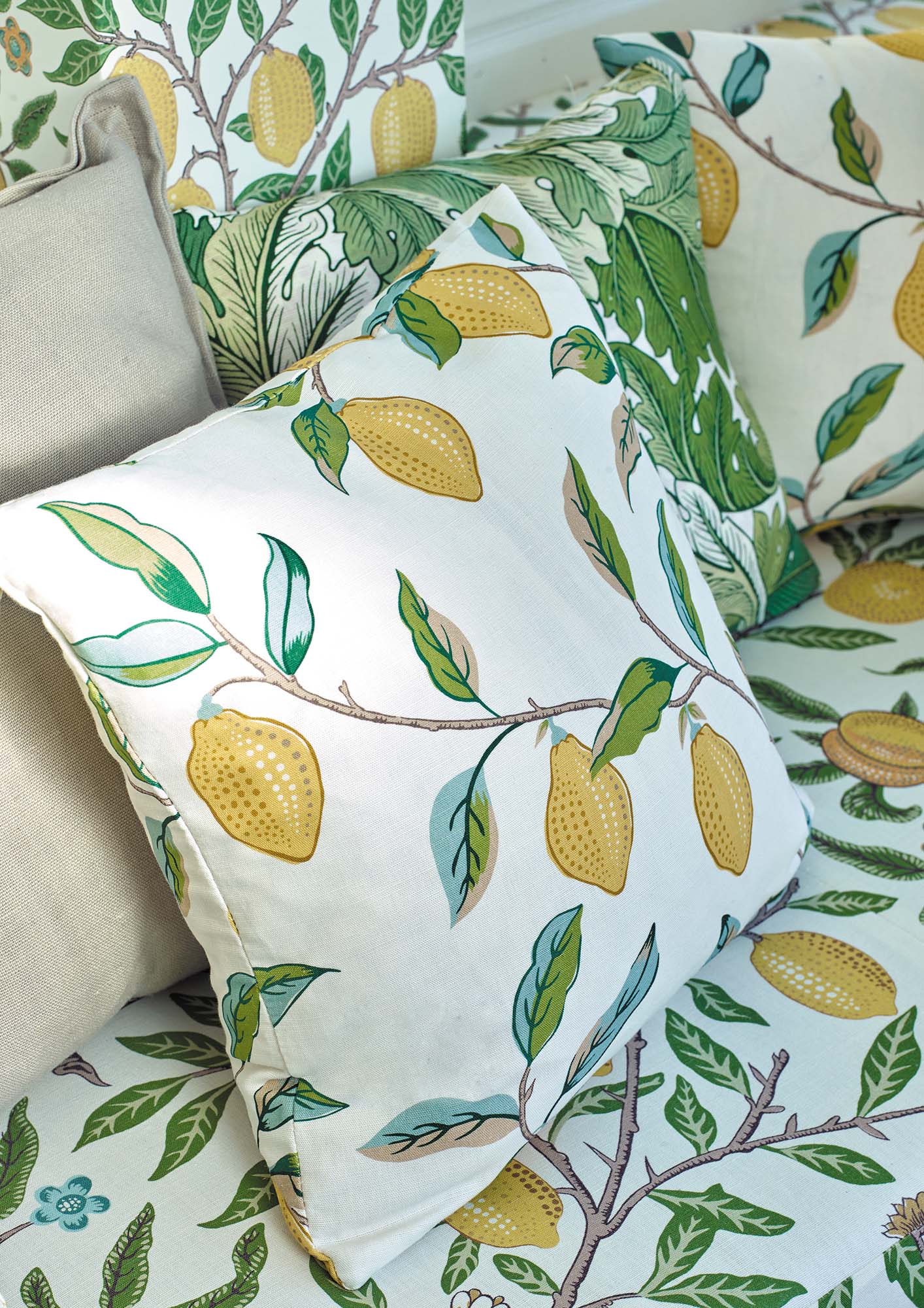 interior library - Lemon Tree 226909 MORRIS&Co.