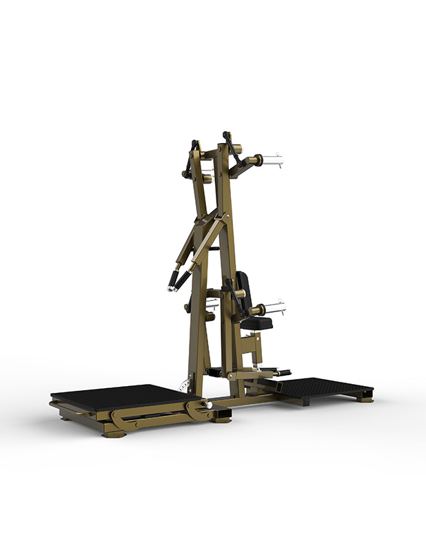 Lateral Raise/Rear Deltoid - HS PRO 1004 - Into Wellness