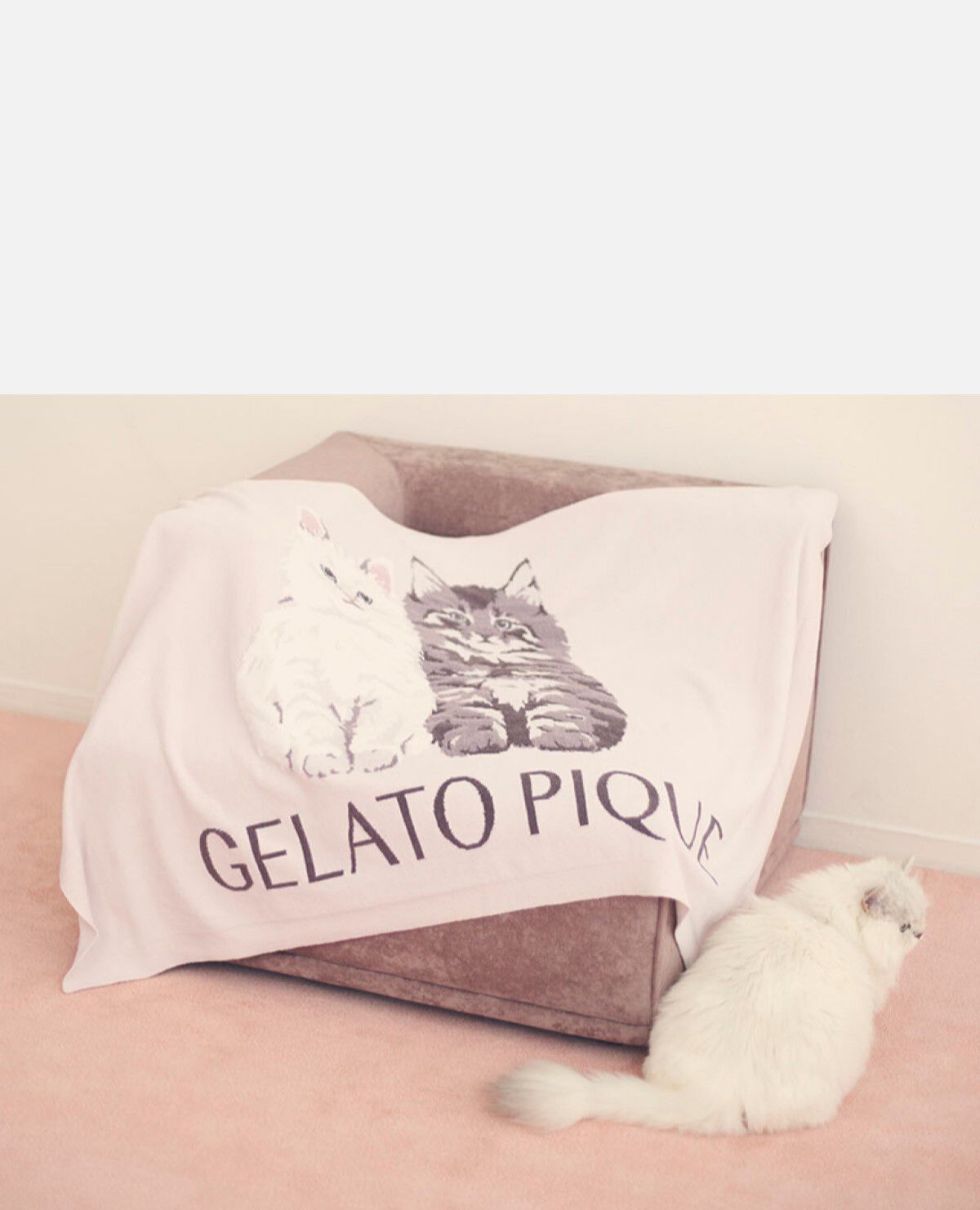 ツインズキャット ジャガード ブランケット ネイビー｜ジェラートピケ