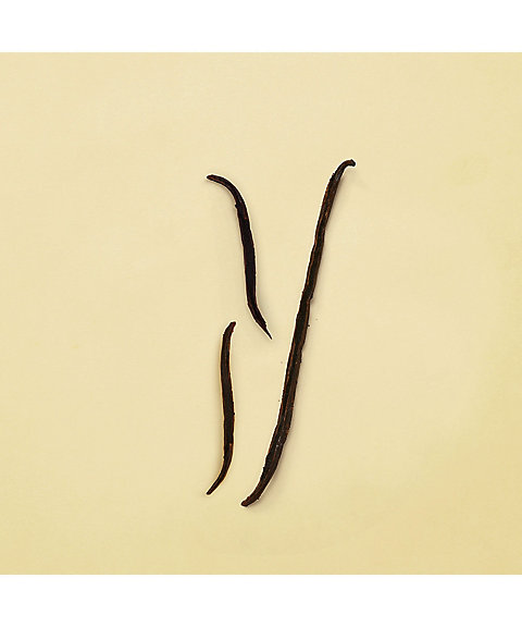 GUCCI beauty（GUCCI beauty） グッチ ジ アイズ オブ ザ タイガー