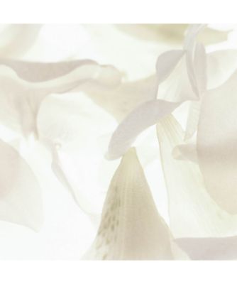 CHANEL（CHANEL） エクラ プルミエ フォーム クレンザー 通販