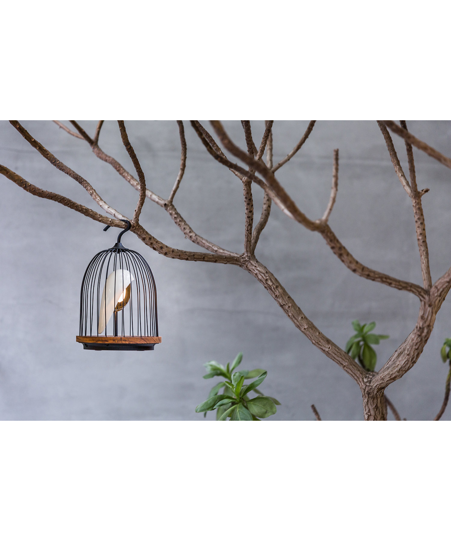 4589671030210_2?$VS_1500$