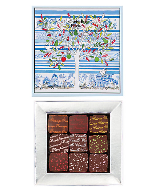 SDC0072 フリュイ エ フルール CF26－03 | Christine