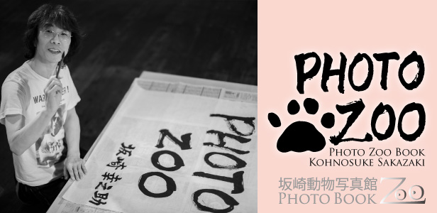 Photo Zoo Book / 坂崎幸之助動物写真集 | Island Gallery