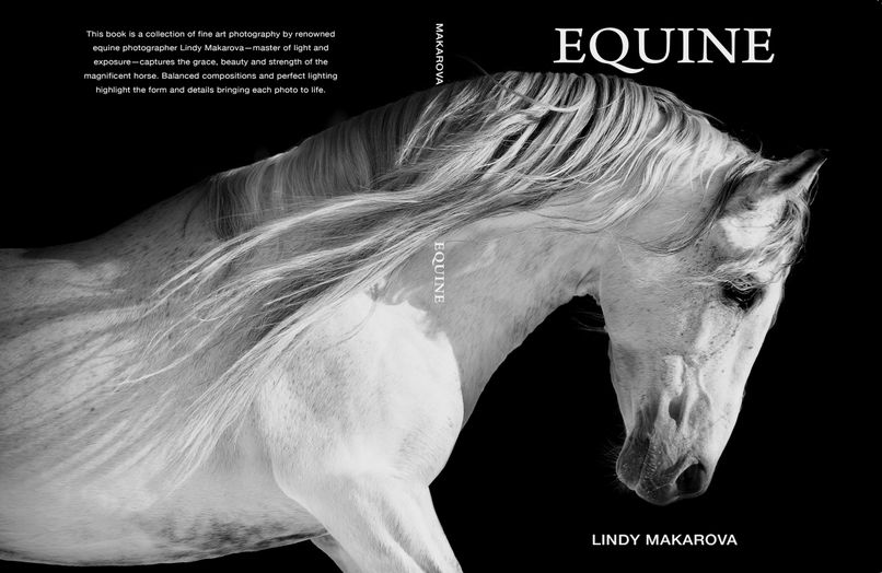 New Application Opportunities with Xerox White Dry Ink | Xerox