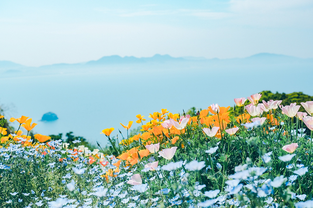 Xシリーズユーザーインタビュー】『X-T4』とフォトグラファー宵月絃 花