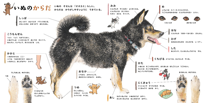 いぬのずかん』2025年3月に単行本発売予定！ | いりたまごセバスチャン