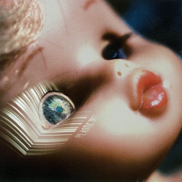 未開封Plastic Tree アンモナイトオリジナル特典コメントDVD