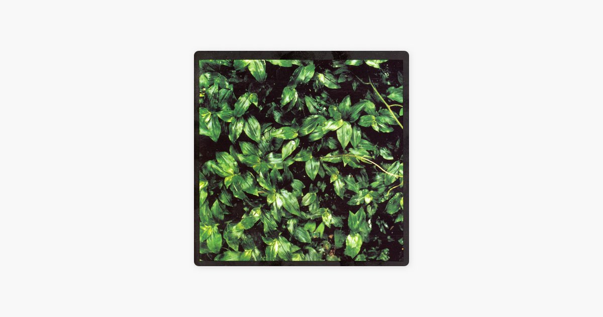 ココロに花を - エレファントカシマシのアルバム - Apple Music