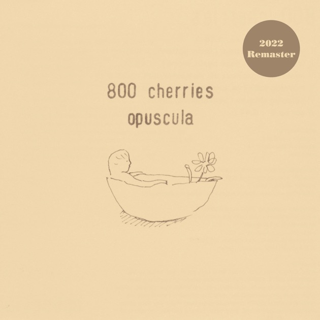 Romantico - Album by 800 Cherries - Apple Music