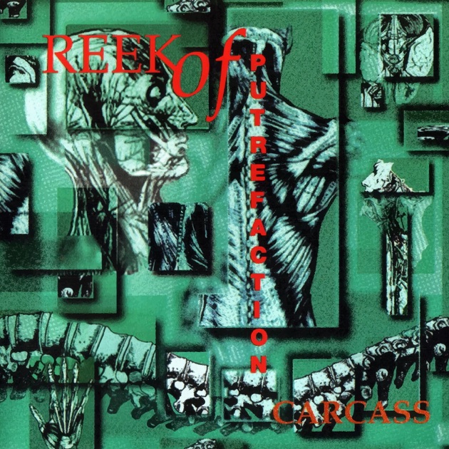 Reek of Putrefaction - Carcassのアルバム - Apple Music