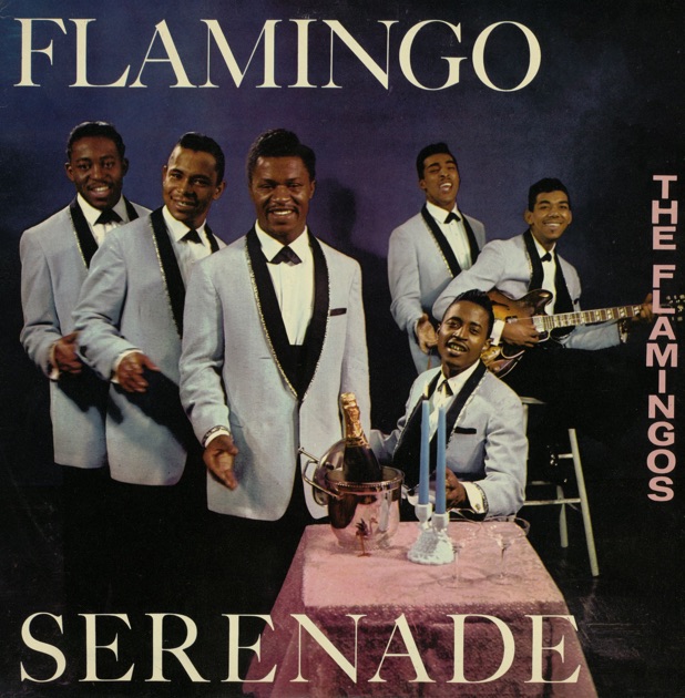 Flamingo Serenade - Album by The Flamingos - Apple Music