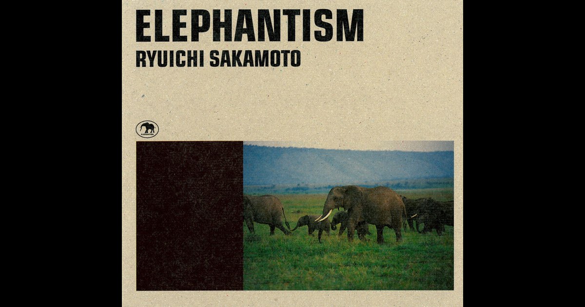 Elephantism : 坂本龍一のアフリカ : ソトコトDVDブック Amazon.com