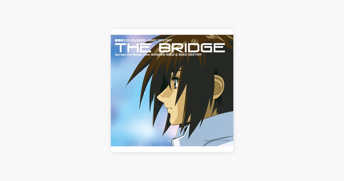 機動戦士ガンダム SEED ~ SEED DESTINY THE BRIDGE Across the Songs