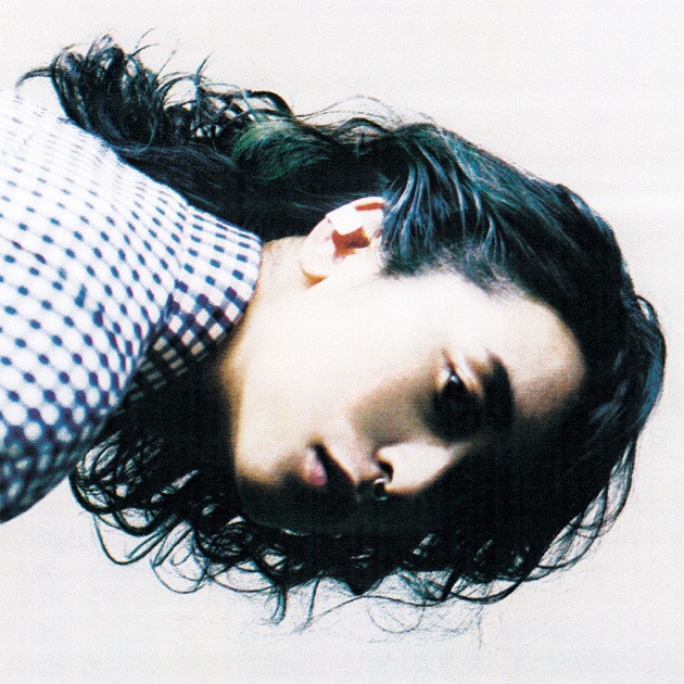 北へ向かう - 寺尾紗穂のアルバム - Apple Music