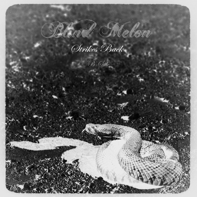 Blind Melon - ブラインド・メロンのアルバム - Apple Music