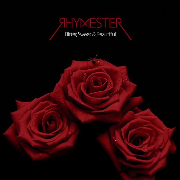 ダンサブル - RHYMESTERのアルバム - Apple Music