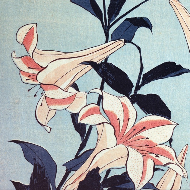 Bullet Train Fantasy (feat. Luvbird) - Single - Ibrahimのアルバム