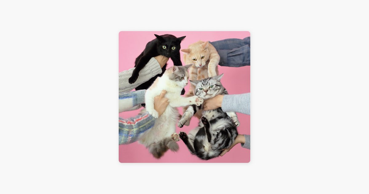 猫とアレルギー - きのこ帝国のアルバム - Apple Music