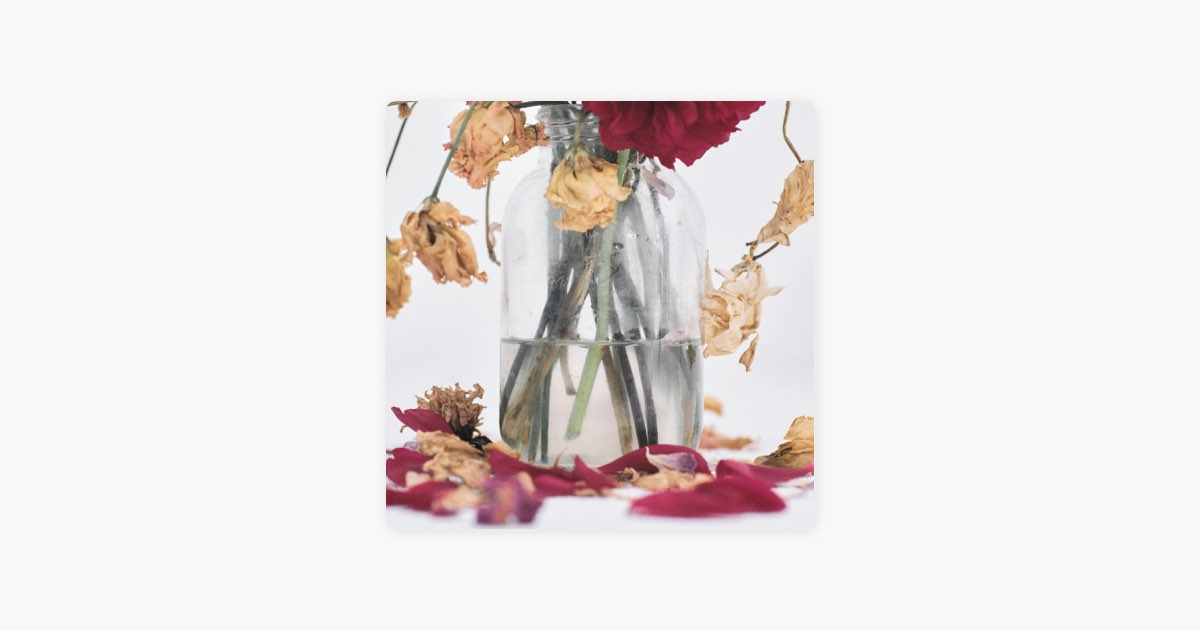 Camellia - 唾奇のアルバム - Apple Music