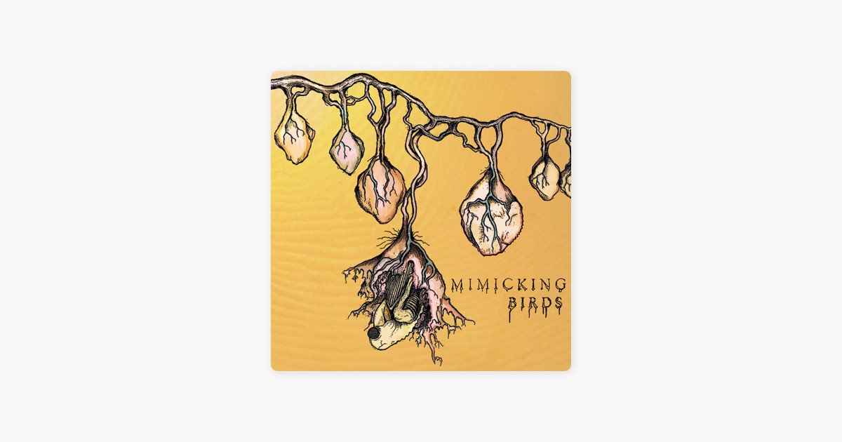 Mimicking Birds - Album by Mimicking Birds - Apple Music