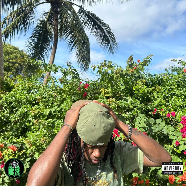 Swag Rappin - Single - Album by Undaunted Radio & nine vicious