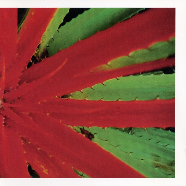 Junk - Jejuneのアルバム - Apple Music