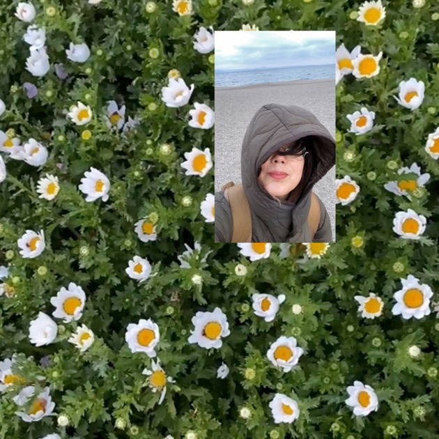 がんばれ!メロディー - 柴田聡子のアルバム - Apple Music