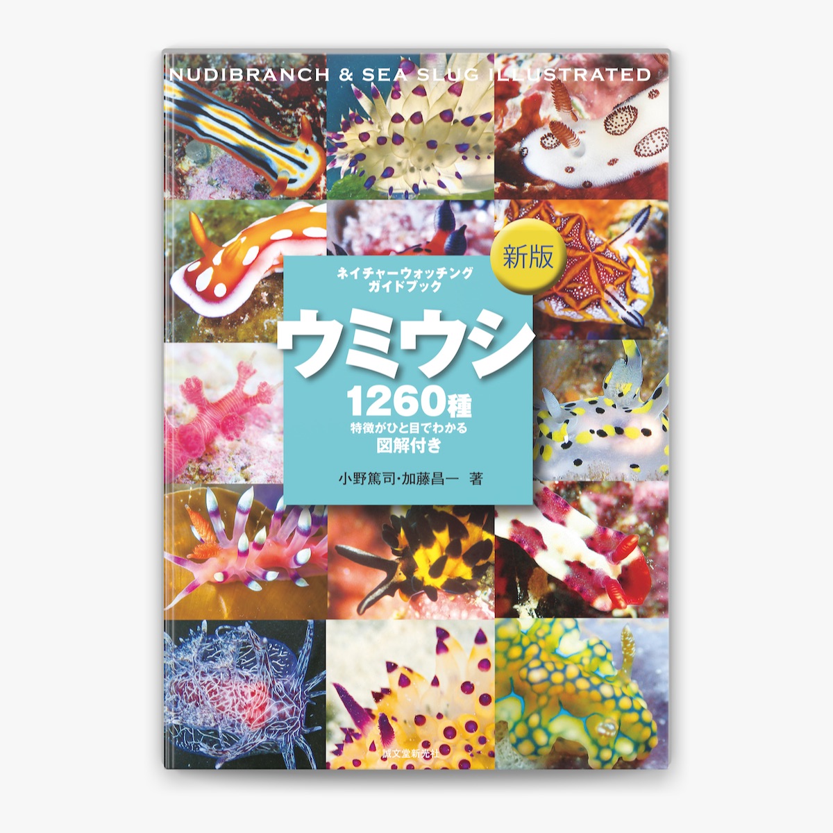 小野篤司 & 加藤昌一の「新版 ウミウシ」をApple Booksで