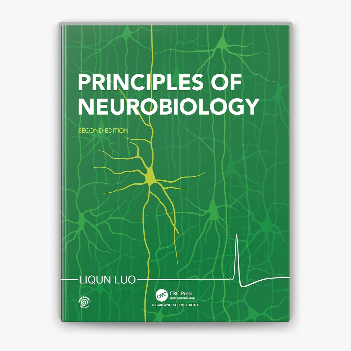 スタンフォード神経生物学 Principles of Neurobiology Principles of