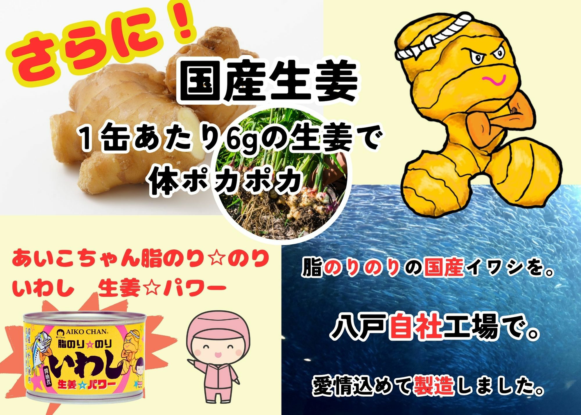 あいこちゃん脂のり☆のりいわし 生姜☆パワー 140g×24缶. | 伊藤食品
